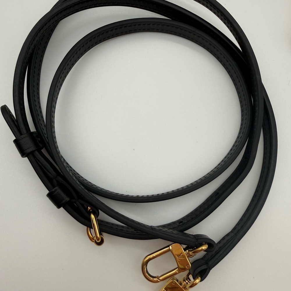 Louis Vuitton Reverse Giant Double Zip Pochette - Picture 15 of 16